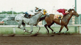Naigo defeats Mr. Winnipeg in a $10,000 claiming race on on July 13, 1979.
