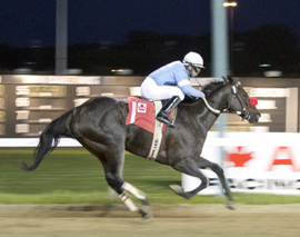 Zdeno wins 2014 J.W. Sifton Stakes at Assiniboia Downs. Travis Cunningham up