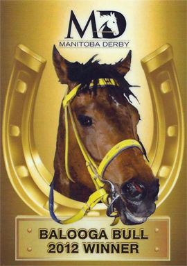 Manitoba Derby Collector Card #1. 2012 Manitoba Derby winner Balooga Bull.