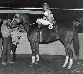 May's Relic upsets in the Inaugural Handicap on opening day at Assiniboia Downs, May 8, 1970. Ed Werre in the saddle.