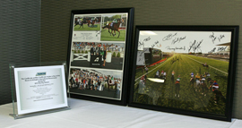 Arlington Park Package to be auctioned off on eBay Friday, August 21, 2015.