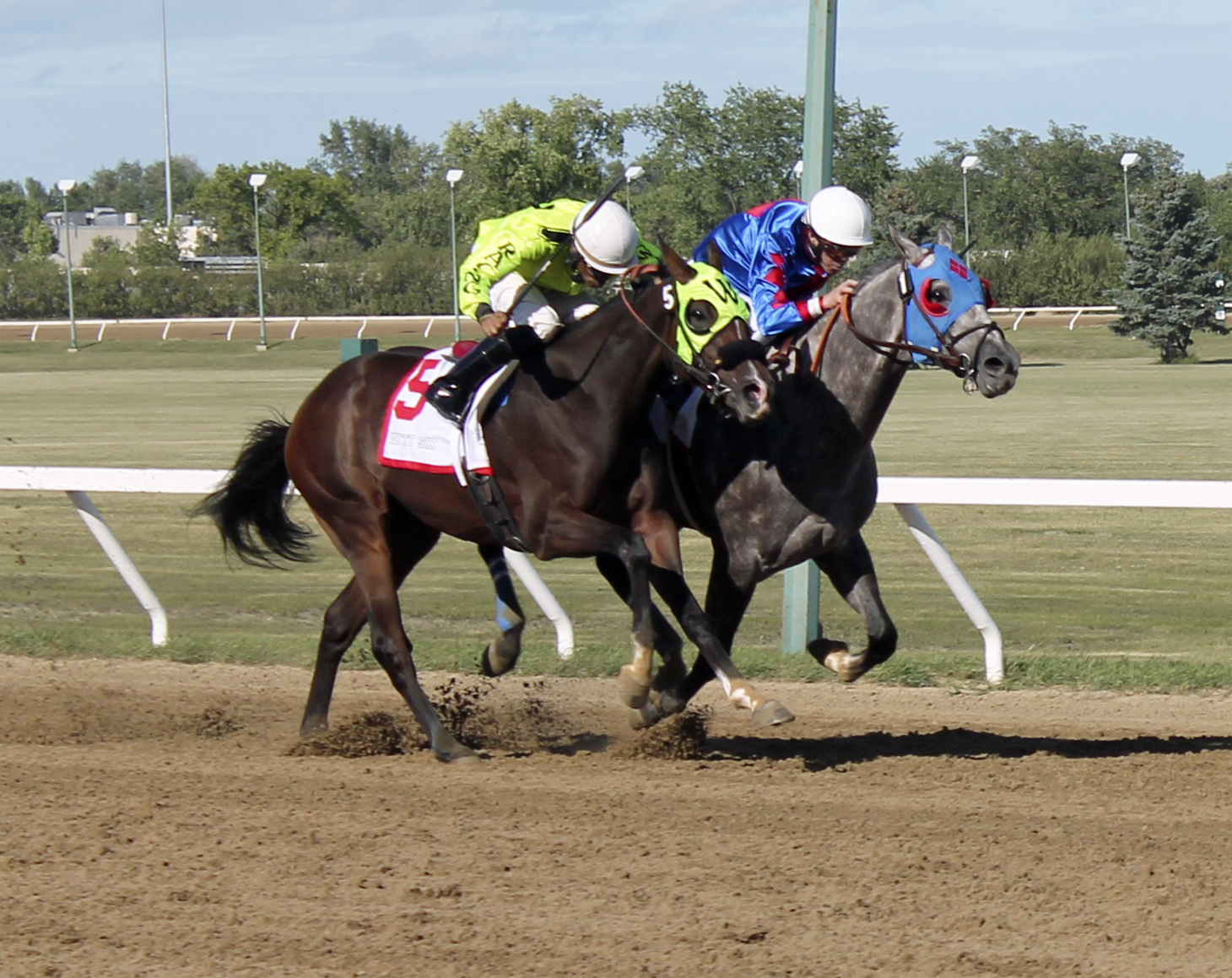 Northside Downs Live Racing