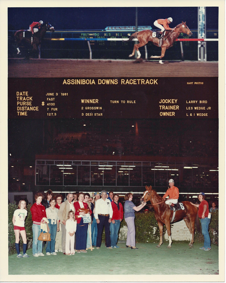Turn to Rule wins on June 3, 1981.