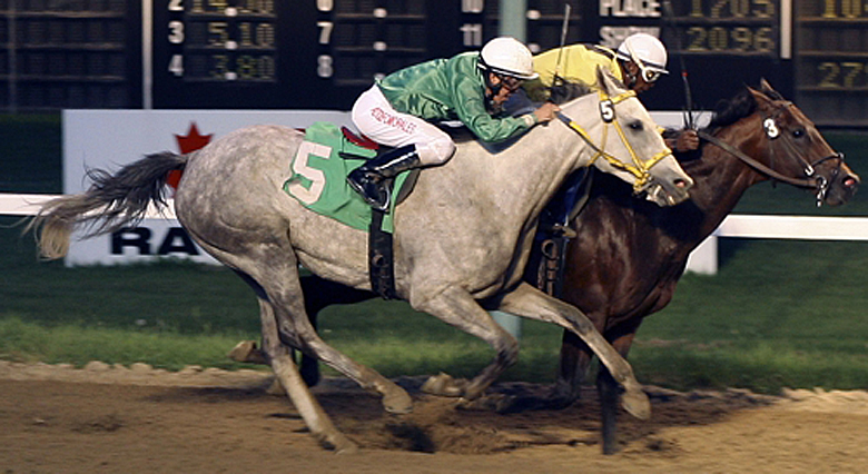 Pleasant Closing (inside) responds gamely to win 2013 Wheat City Stakes.