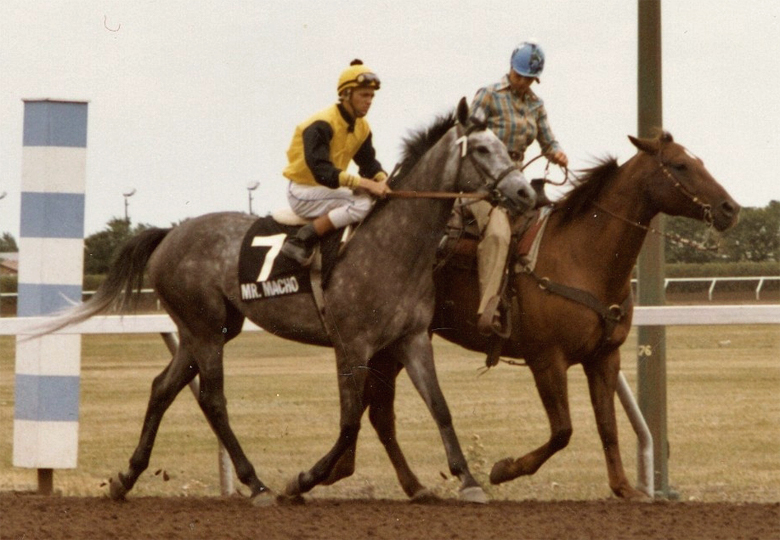 Mr. Macho goes to post for the 1980 Manitoba Derby. Irwin Driedger up.