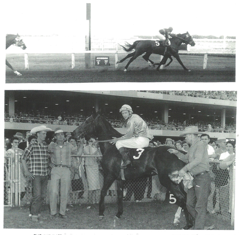 Cameo Queen. July 2, 1959. Monroe Stables first win. On far left is George and son Milo.