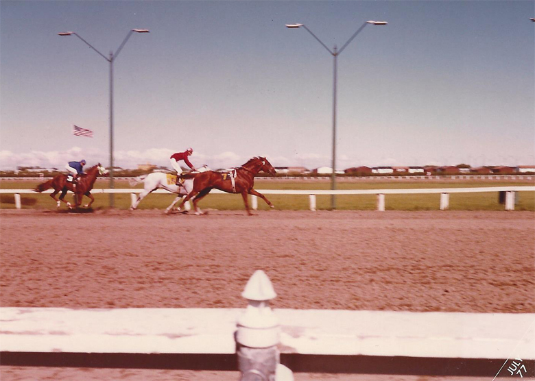Federal Ruler plays catch me if you can after the finish line on July 1, 1977.