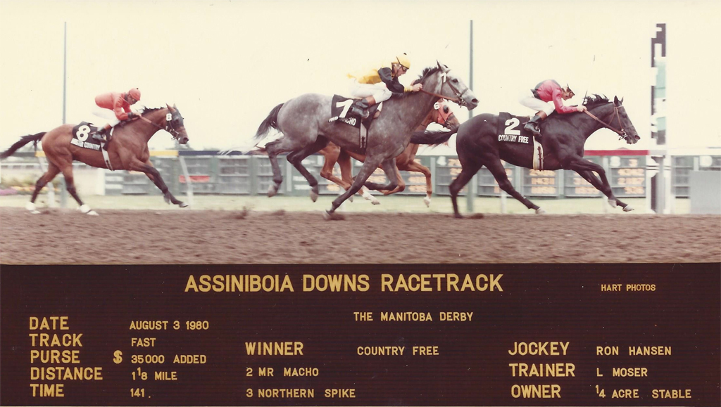 Country Free wins the 1980 Manitoba Derby! Ronnie Hansen in the saddle. And boy could he ride!