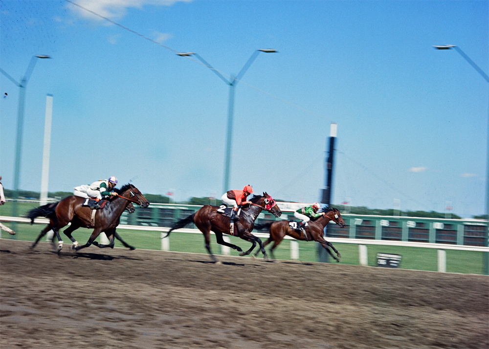 Apiarian leads the pack early in the 1970 Manitoba Centennial Derby.