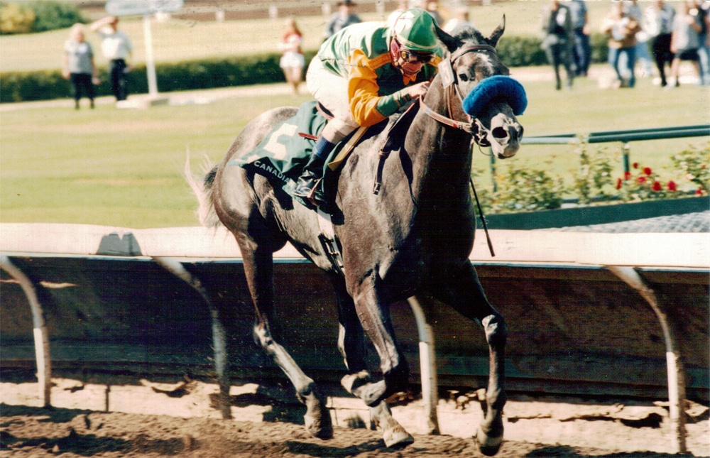 Smoky Cinder wins the 1997 Canadian Derby.