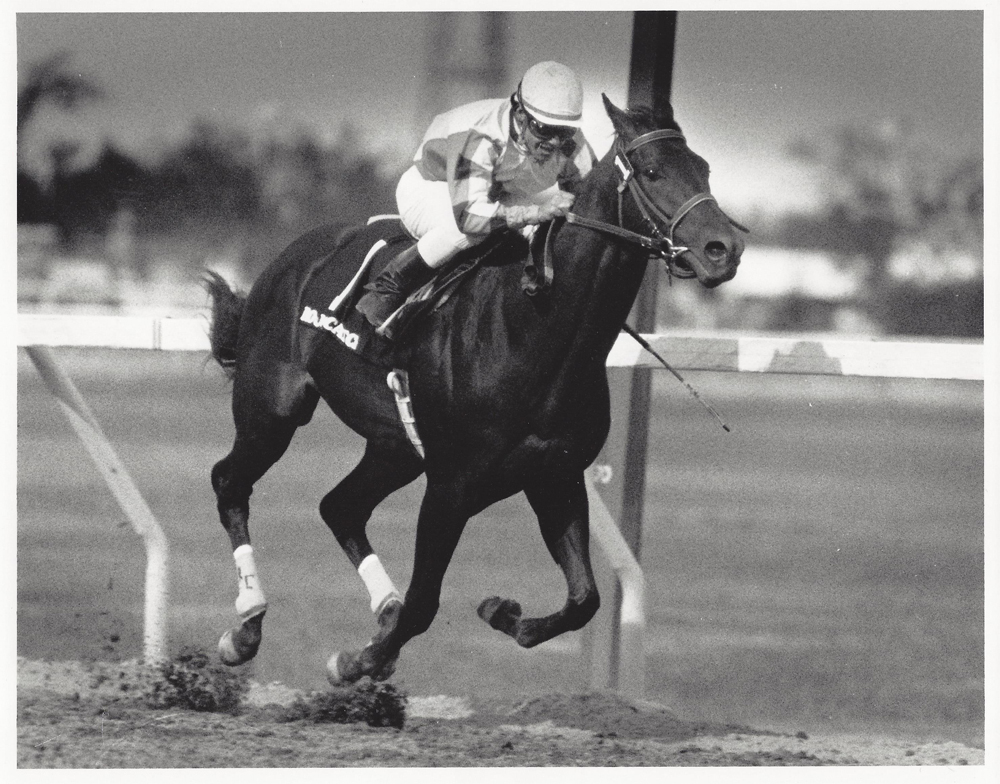 Rough Catch wins 1989 Manitoba Derby for Harvey Warner and partners with Todd Kabel up.