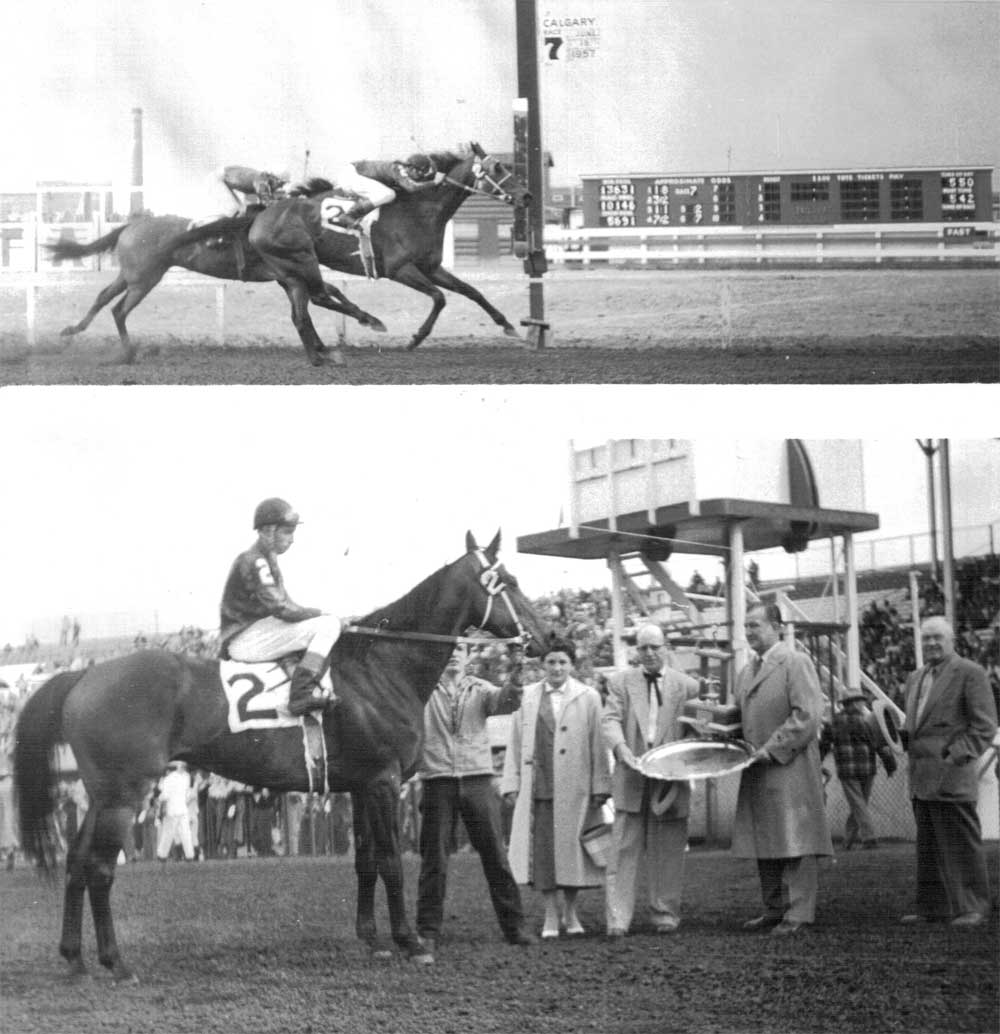 Light Dust wins the Teeworth Plate in Calgary. June 15, 1957. 