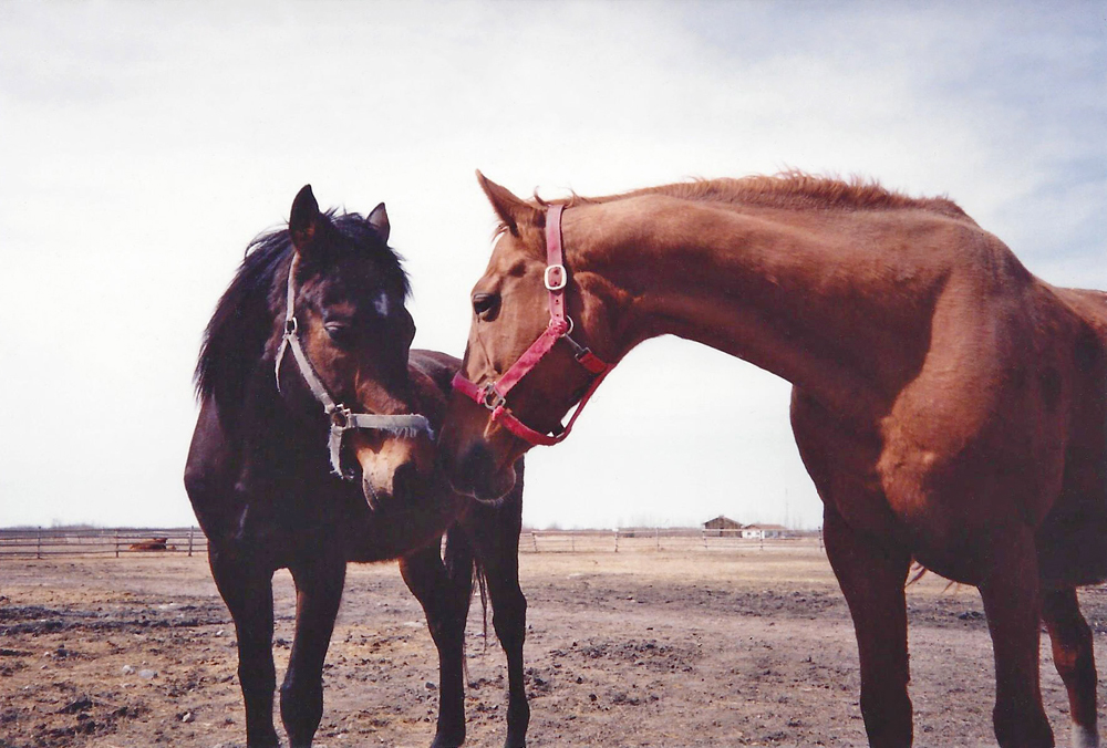 Fred (left) at 17 years old with Mother at 20 years old. April 1991.