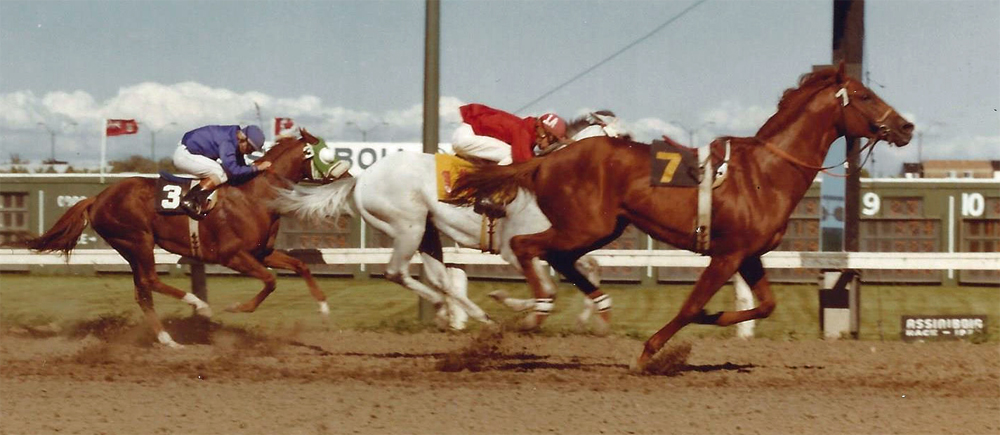 Federal Ruler finishes race without jockey Dean Kutz. July 1, 1977.