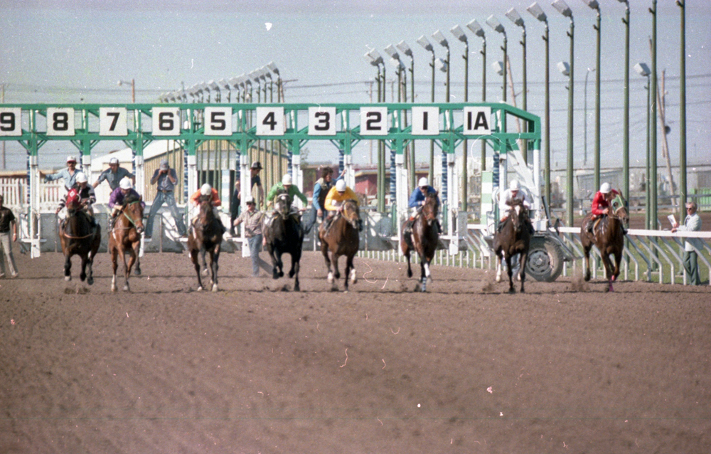 And they're off! Horses break from the gate in 1981 at ASD!